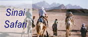 Egypt Tours "Sinai Safari"